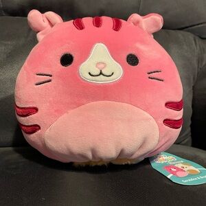 Squishmallow Flipmallow Dog and Cat NWT